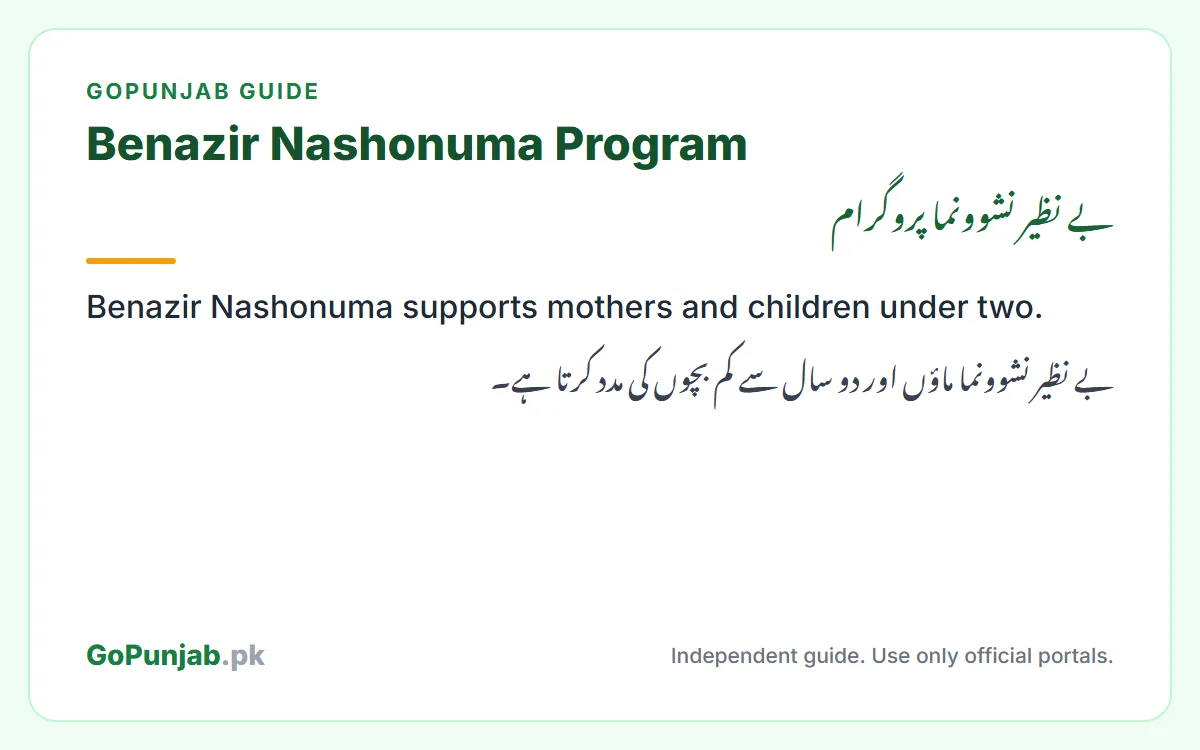 benazir nashonuma program: GoPunjab key facts card