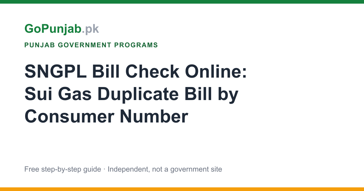 SNGPL Bill Check Online: Sui Gas Duplicate Bill by Consumer Number